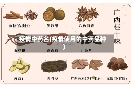 疫情中药名(疫情使用的中药品种)