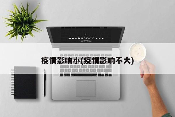 疫情影响小(疫情影响不大)