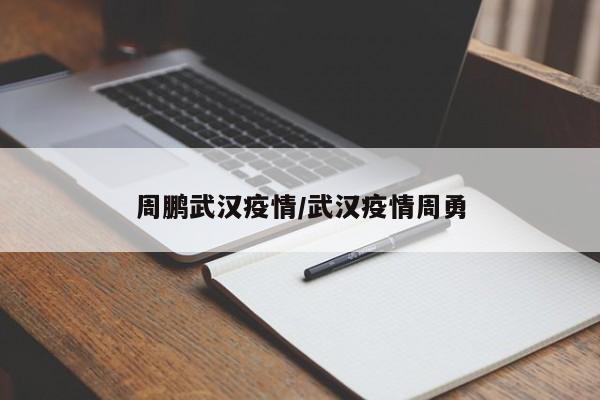 周鹏武汉疫情/武汉疫情周勇